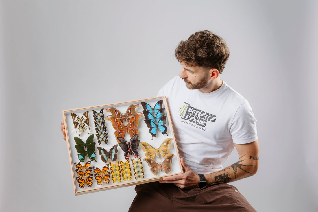 Hi, my name is Chris – and this is the story of EntomoBoxes