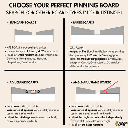 Angled insect Pinning Board for Butterflies Moths – Spreading, Mounting, Setting (etsy image id: 7983858232)