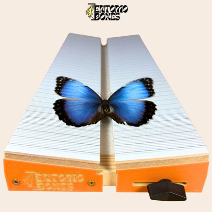 Adjustable Butterfly Pinning Board: Angled Balsa Wood Spreading Board for Insect Mounting & Entomology (etsy image id: 7999425922)