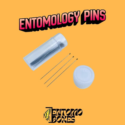 insect pins (etsy image id: 8011201630)