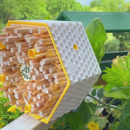 SoliBuzz Insect Hotel