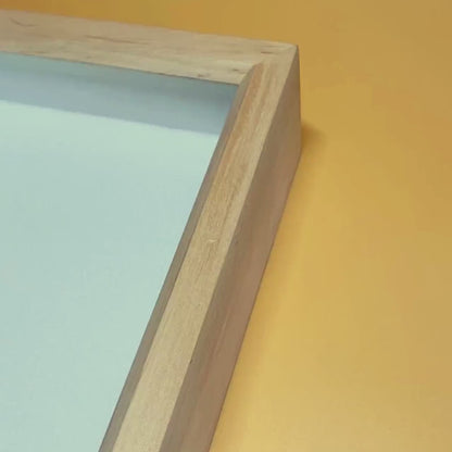 Prémiový jelšový entomologický box